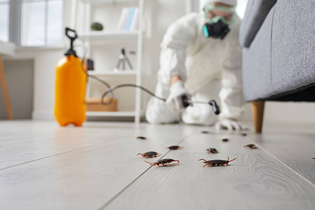 Trusted Emergency Pest Control service in Cusseta, GA - Nex Pest Control