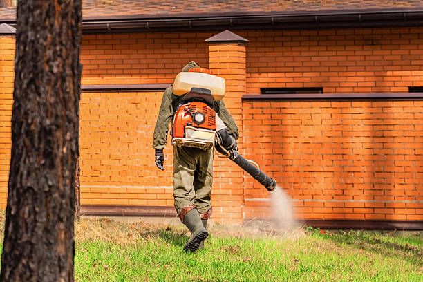 Trusted Cockroach Control service in Cusseta, GA - Nex Pest Control